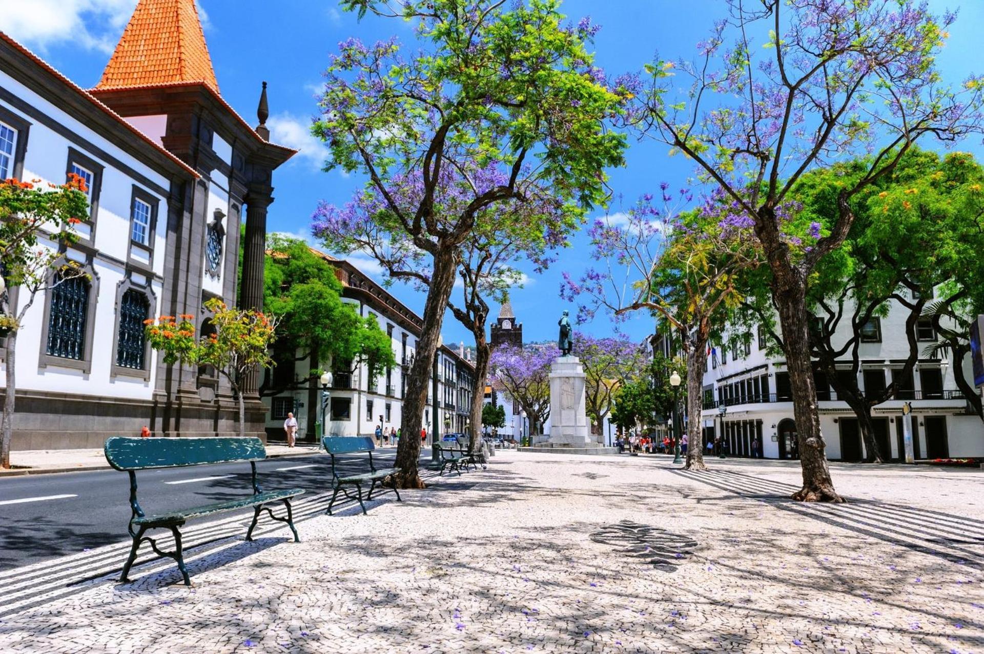 Art Deco Central Apartments, Funchal المظهر الخارجي الصورة